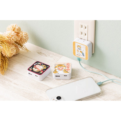 mofusand AC adapter (during charging)