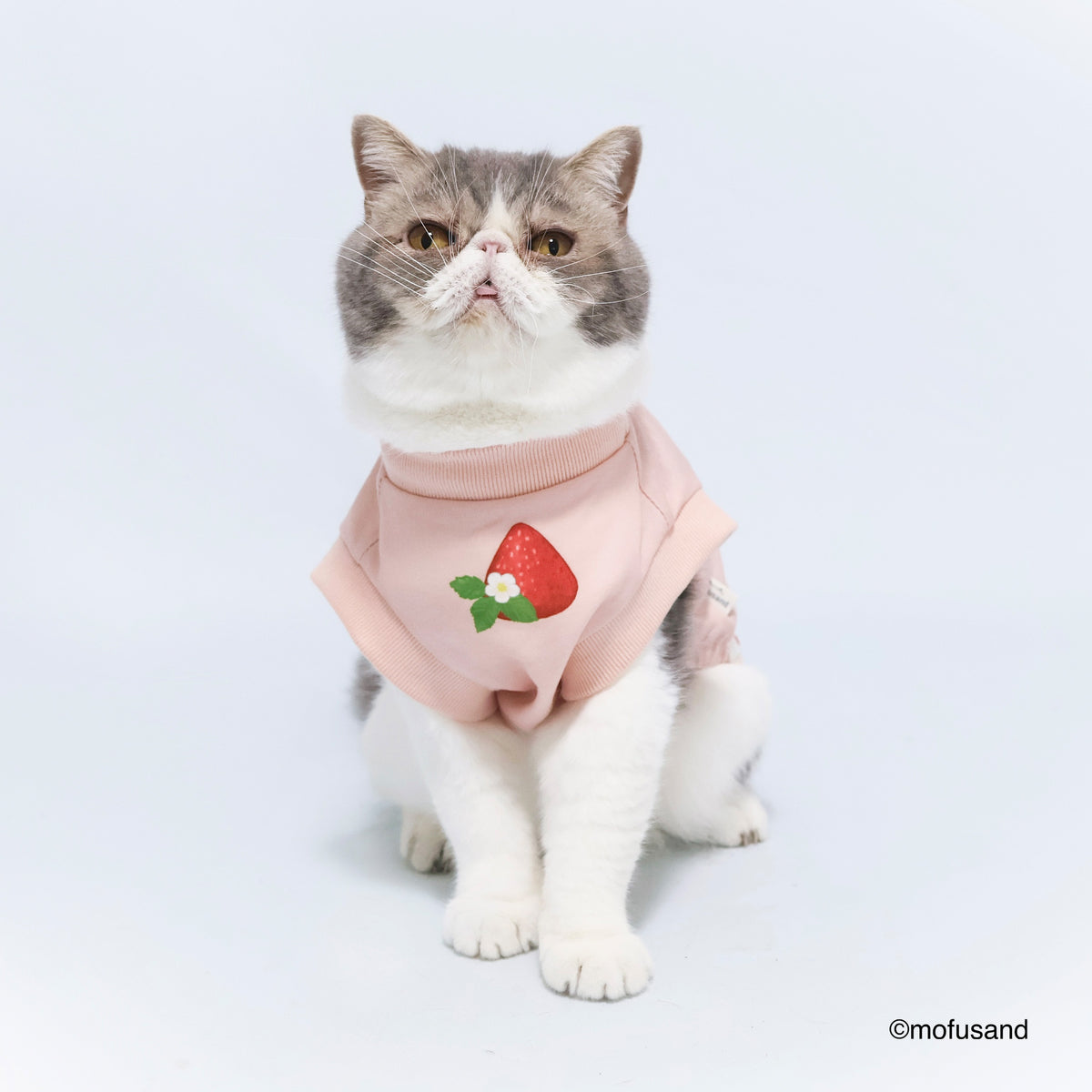 mofusand Sweatshirt 1 (Strawberry Meow)