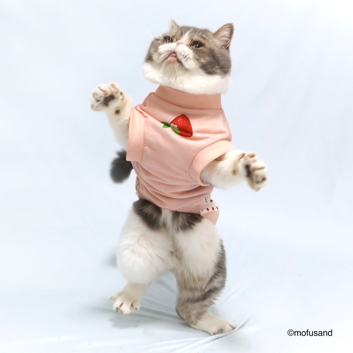 mofusand Sweatshirt 1 (Strawberry Meow)