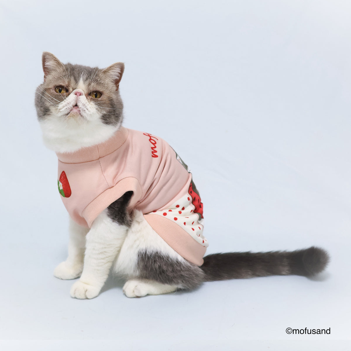 mofusand Sweatshirt 1 (Strawberry Meow)