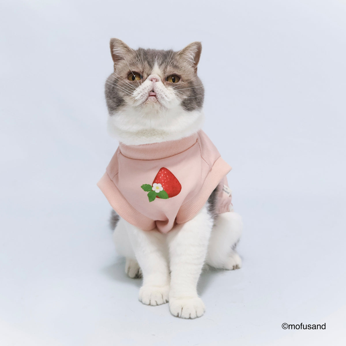 mofusand Sweatshirt 1 (Strawberry Meow)