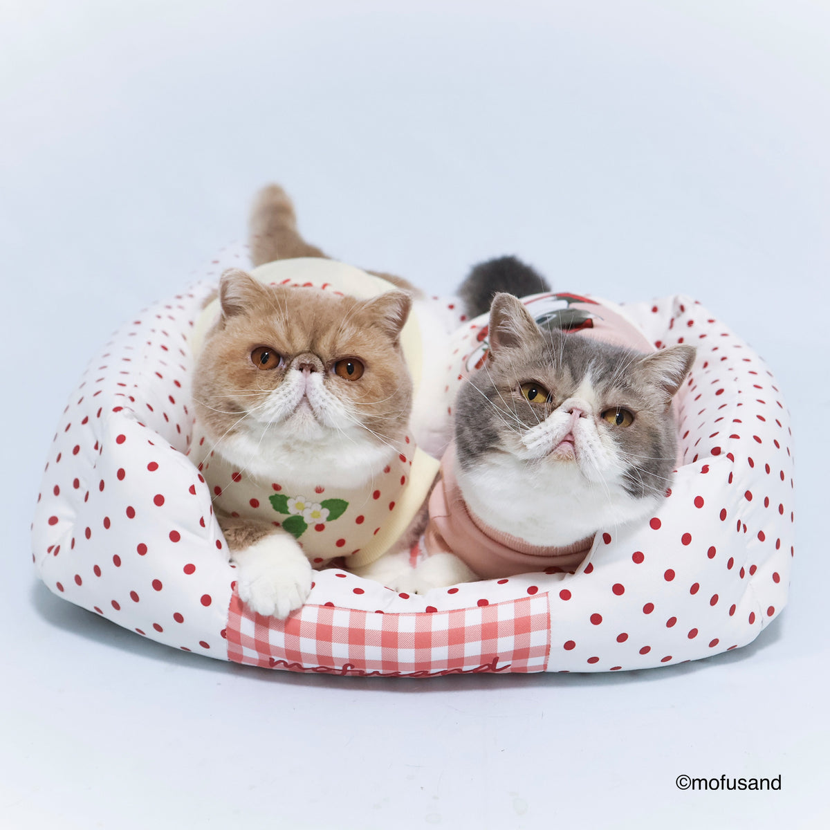 mofusand Sofa Bed (Strawberry Meow)