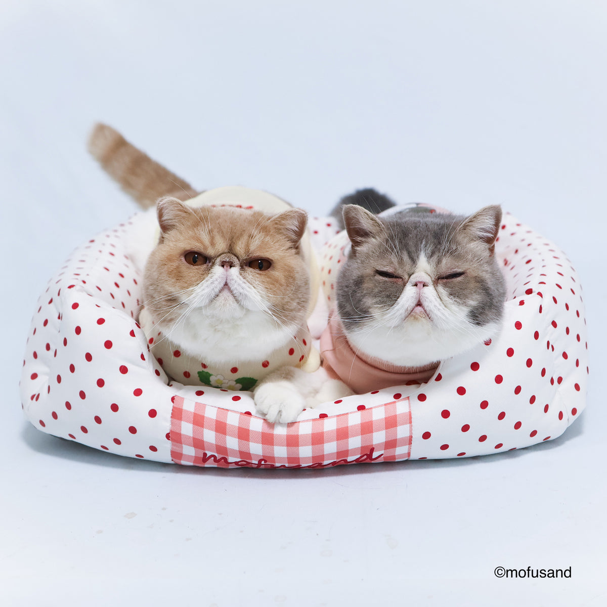 mofusand Sofa Bed (Strawberry Meow)