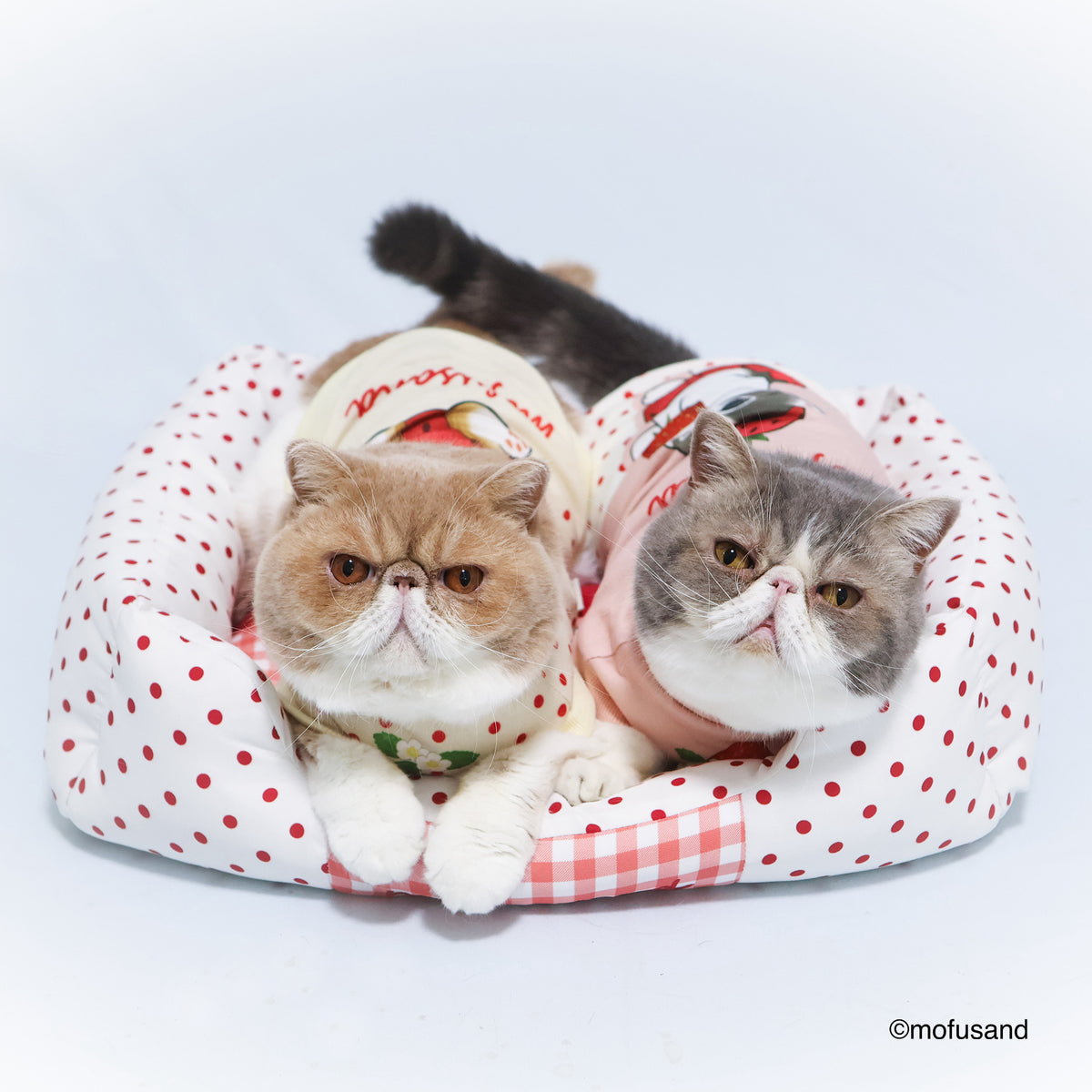 mofusand Sofa Bed (Strawberry Meow)