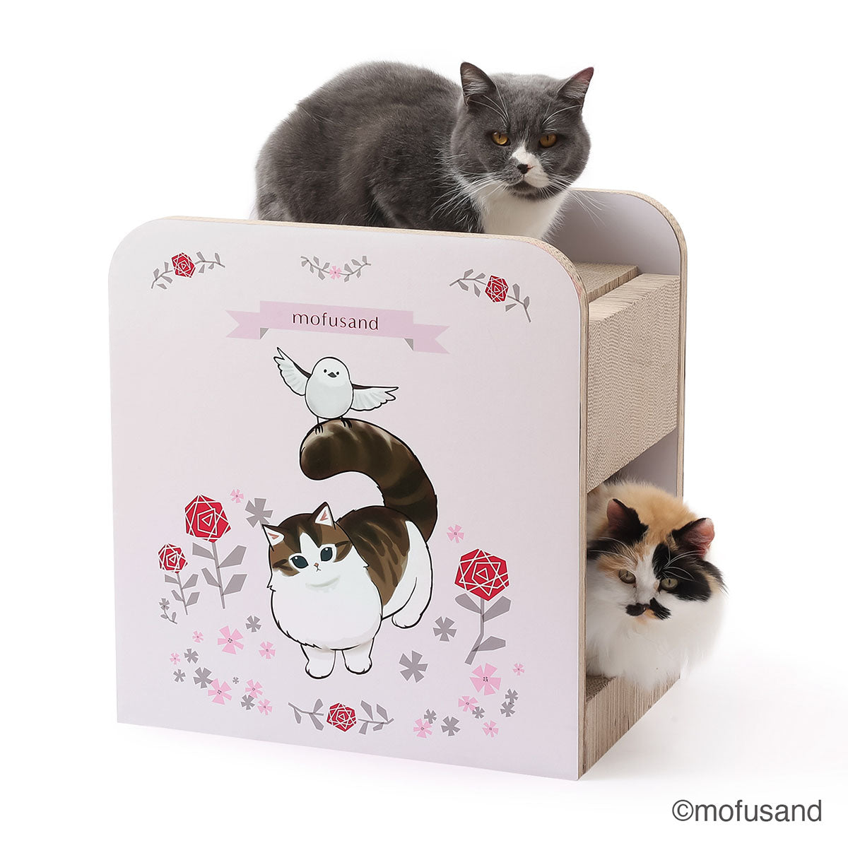 チョコ 猫壱モフサンドフードボウル5点セット 514ZSLSxCZL._AC_UF350, 食器・餌やり・水やり用品