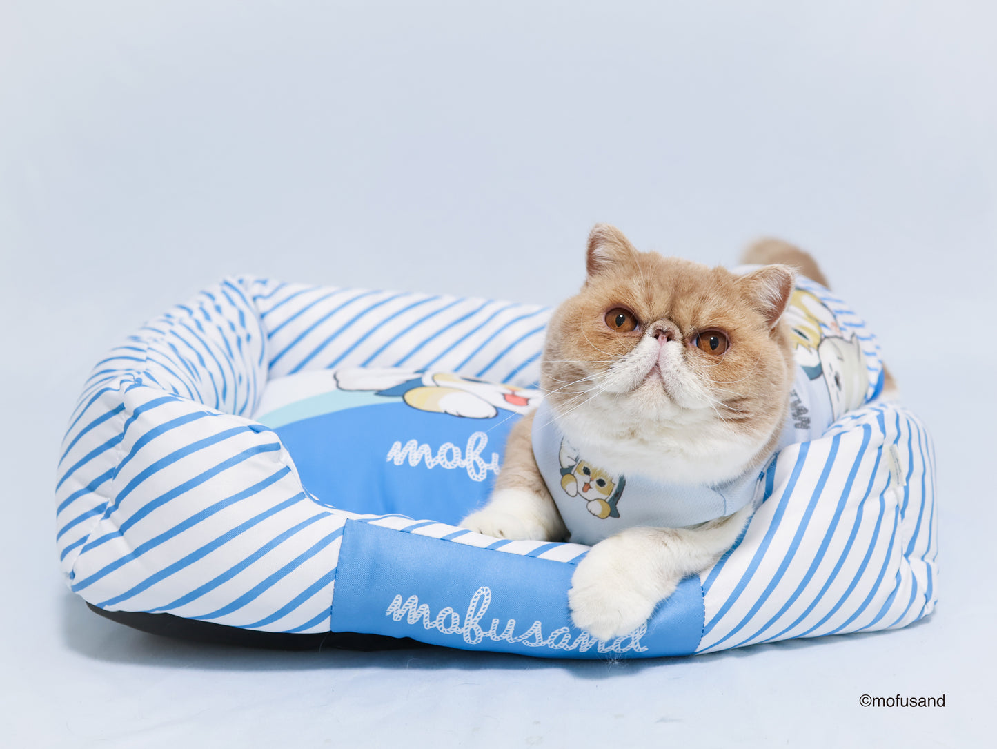 mofusand 清凉沙发