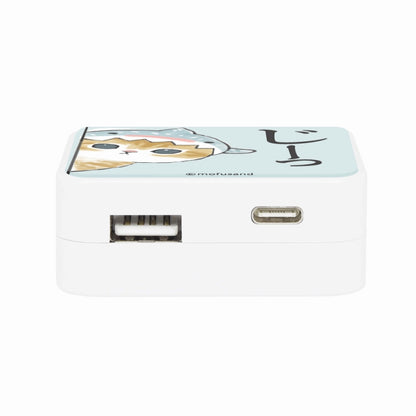 mofusand USB/USB Type-C ACアダプタ(ジンベイザメにゃん)